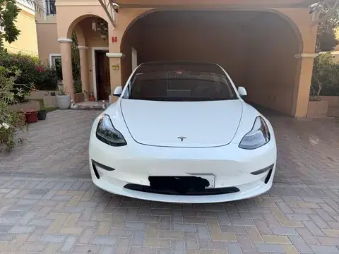 Tesla Model 3 Performance (AWD) 2021
